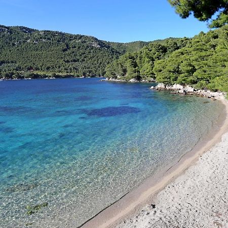 Apartments By The Sea Zuljana, Peljesac - 19080 Dış mekan fotoğraf