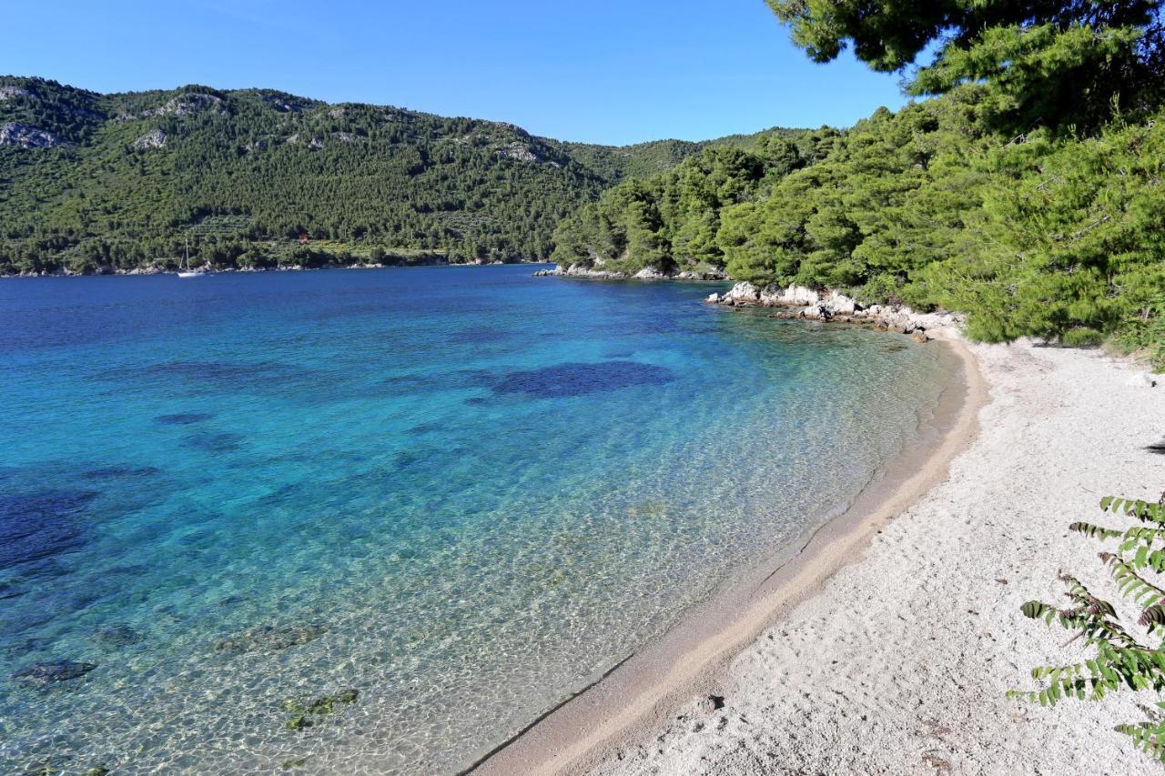 Apartments By The Sea Zuljana, Peljesac - 19080 Dış mekan fotoğraf